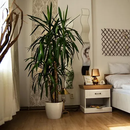 Beauty-Spa Apartment Decin Exterior photo